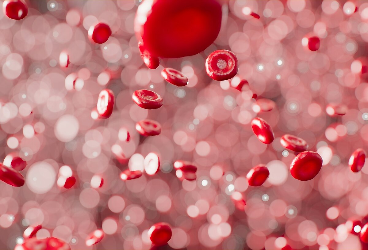 Angiogenesis Explained: How SoftWave Restores Blood Flow to Heal Tissue